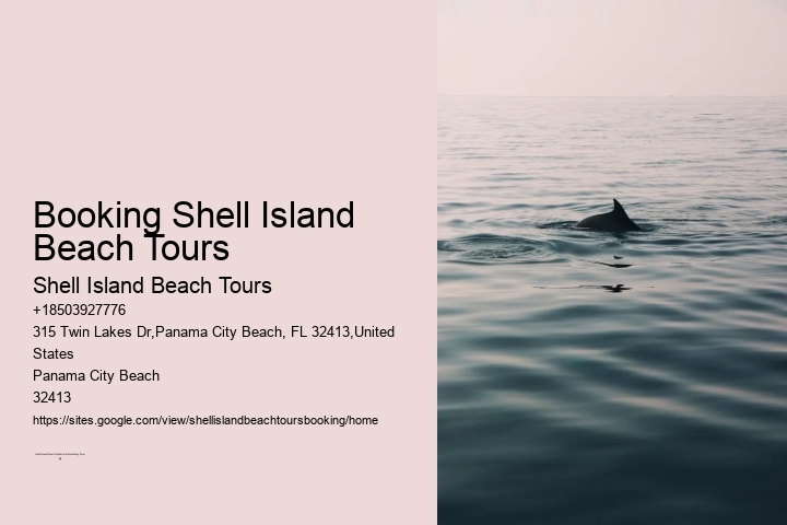 Booking Shell Island Beach Tours