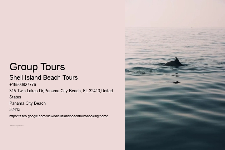 Shell Island Trips & Dolphin Tours