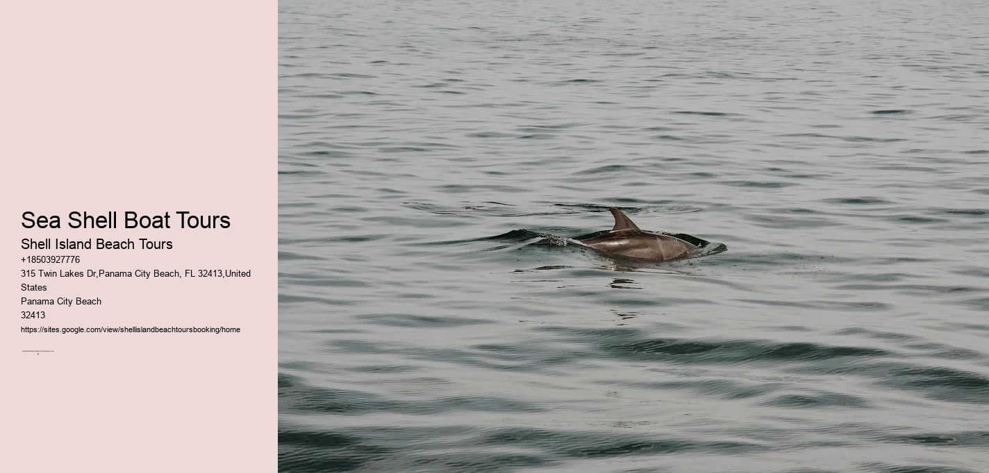 Sea Shell Boat Tours