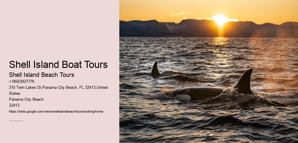 Shell Island Boat Tours