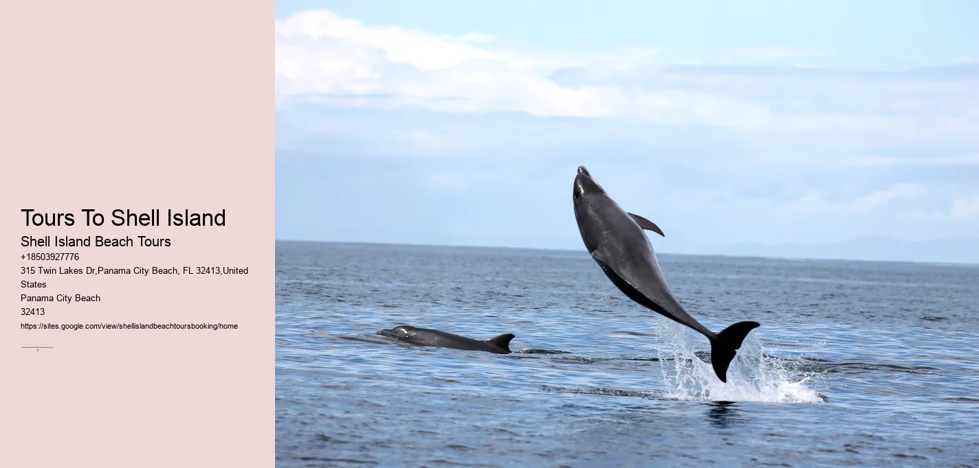 Shell Island Tours In Panama City Beach